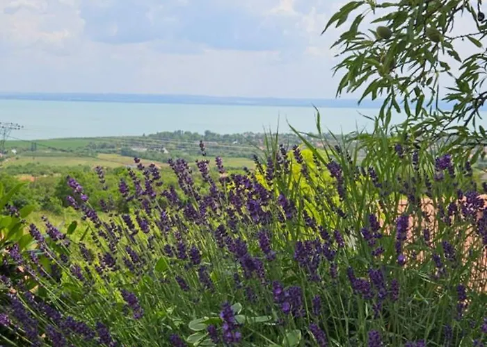 Panorama Lejlighed